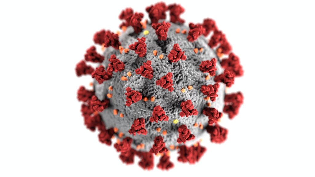 struttura coronavirus